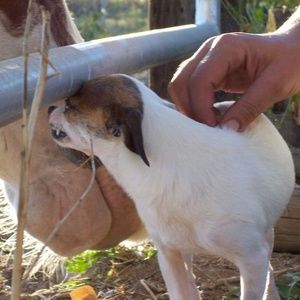 Meet your Posher, Christine